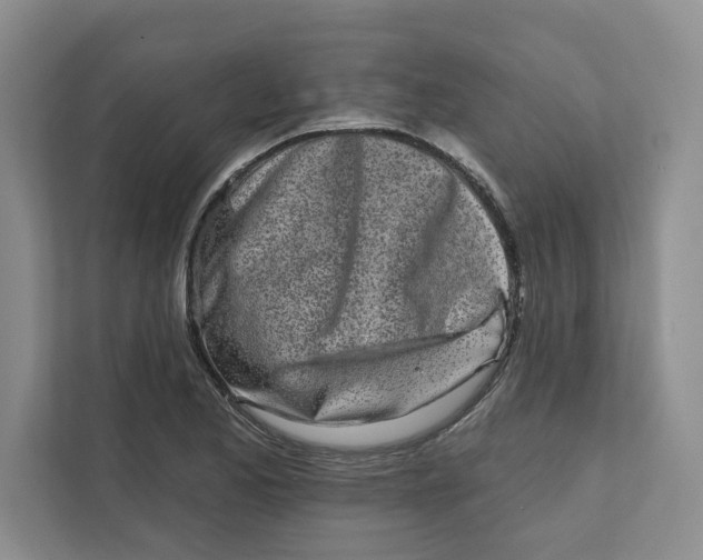 X0000111931173200908171230