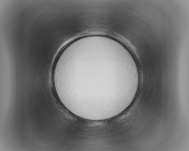 X0000111931174200908171230