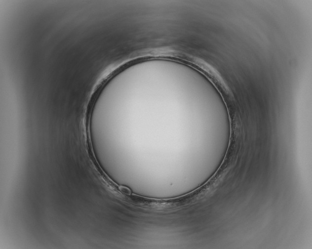 X0000111931176200908171230