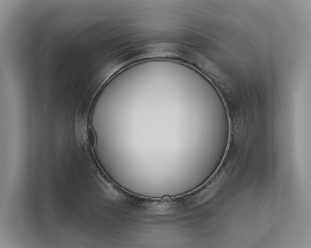 X0000111931177200908171230