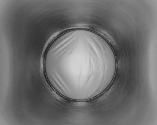 X0000111931180200908171230