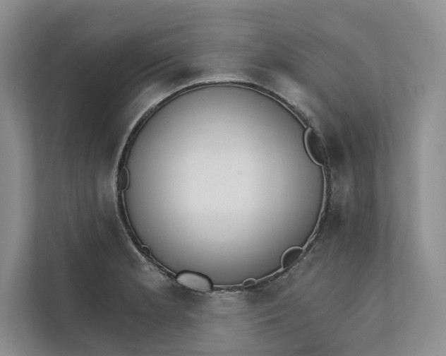 X0000111931181200908171230