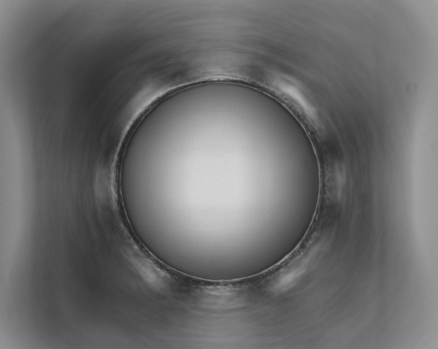 X0000111931182200908171230