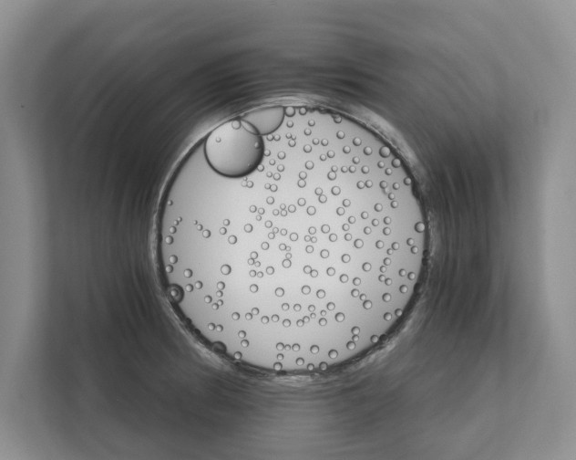 X0000111931186200908171230