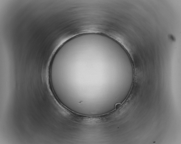 X0000111931187200908171230