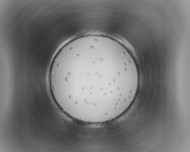 X0000111931190200908171230