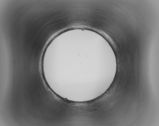 X0000111931191200908171230