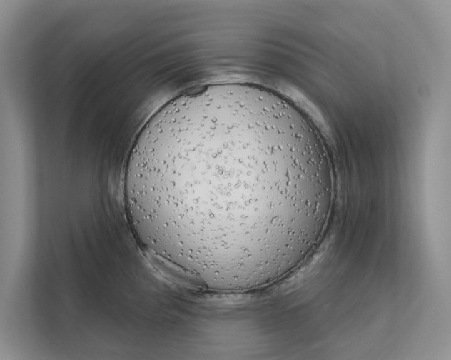 X0000111931193200908171230