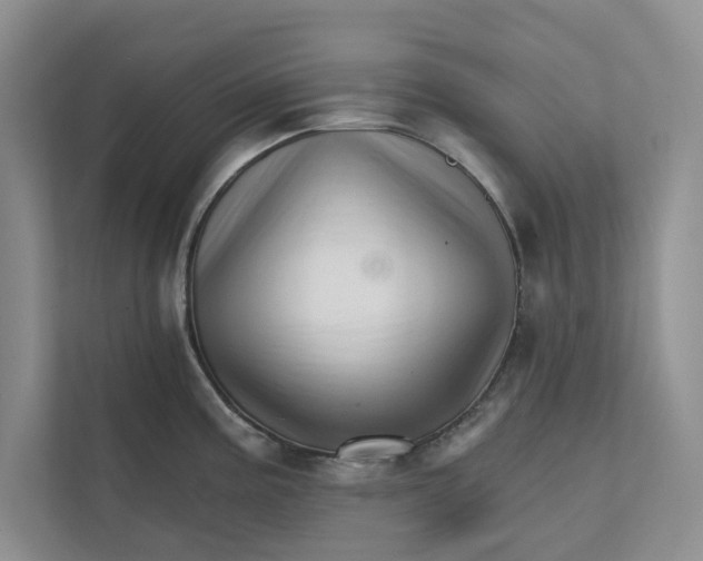 X0000111931195200908171230