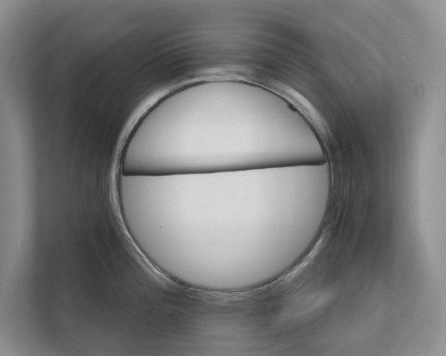 X0000111931196200908171230