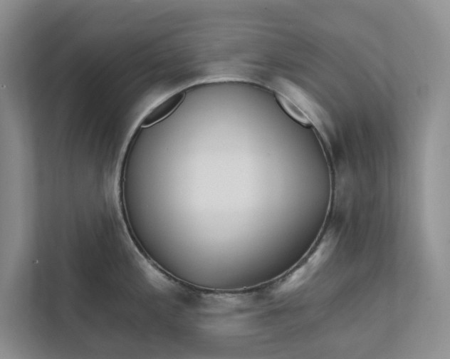 X0000111931197200908171230