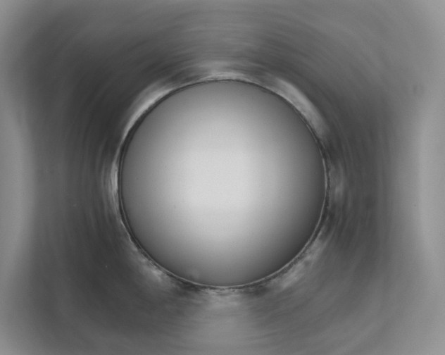 X0000111931198200908171230