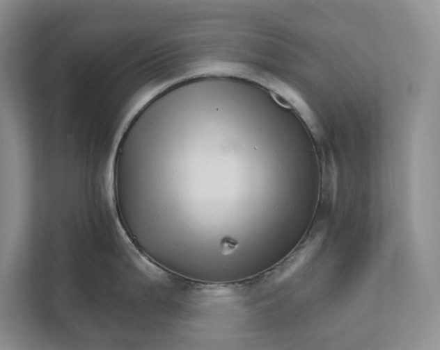 X0000111931199200908171230