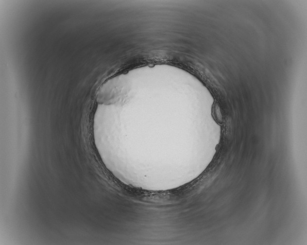 X0000111931201200908171229