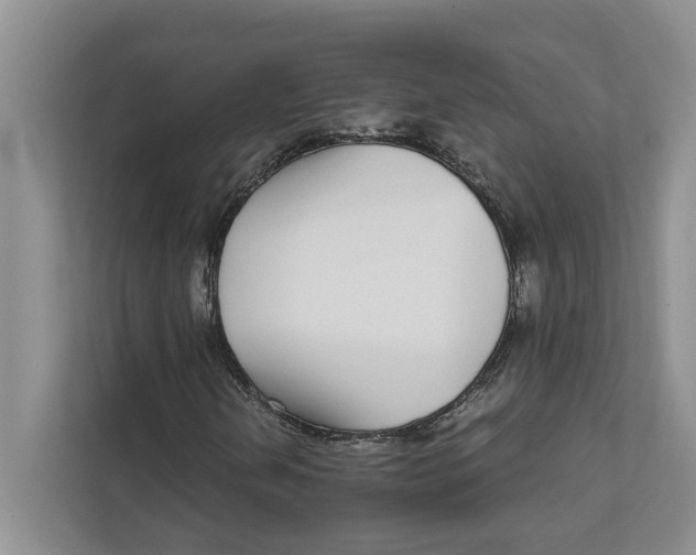 X0000111931202200908171229