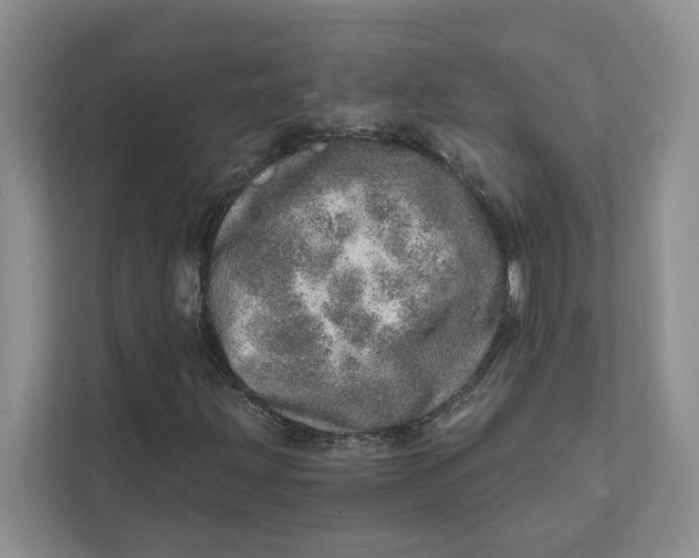 X0000111931203200908171229