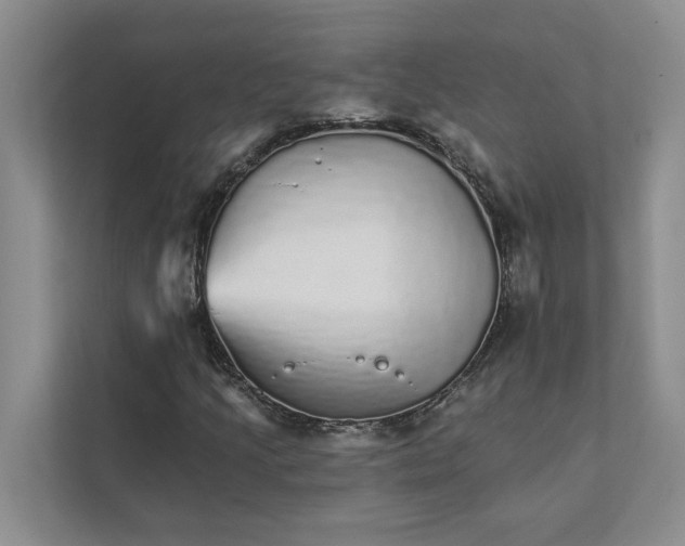 X0000111931205200908171229