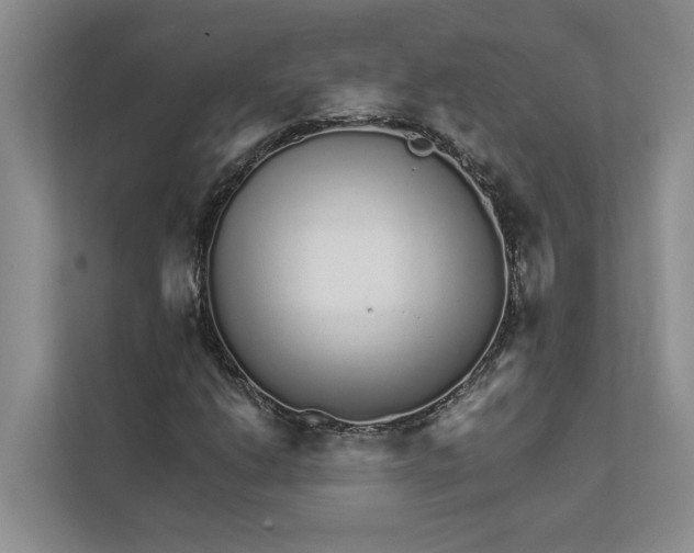 X0000111931206200908171229