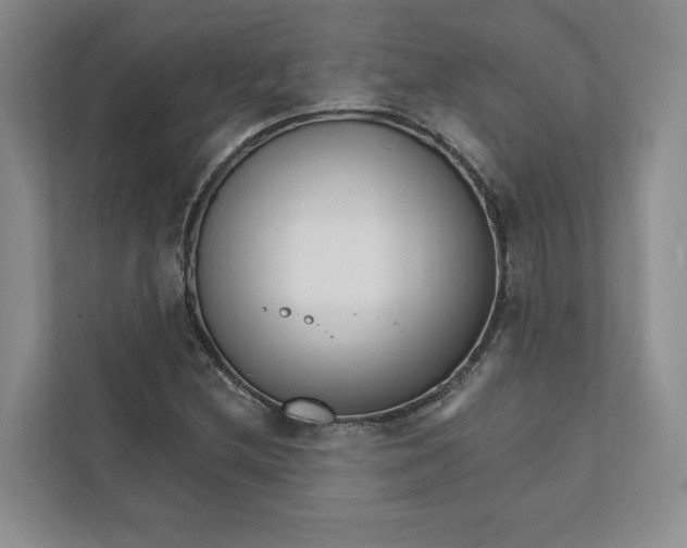 X0000111931212200908171230