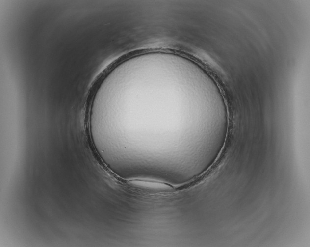 X0000111931216200908171230