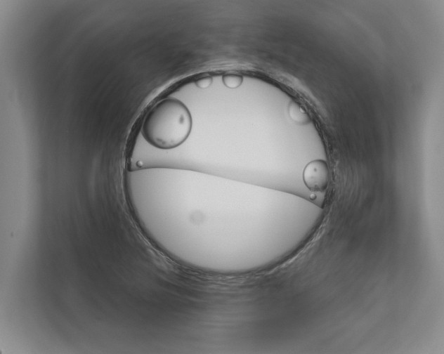 X0000111931220200908171230