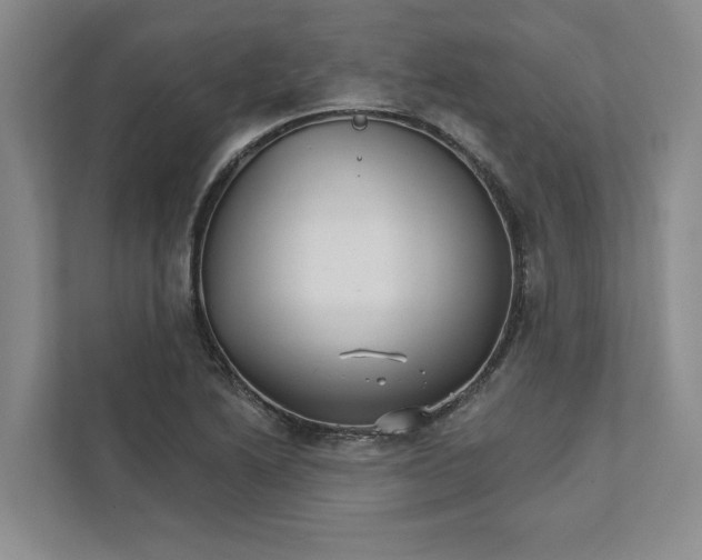 X0000111931222200908171230