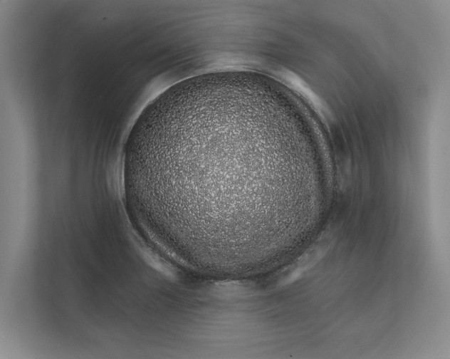 X0000111931227200908171230