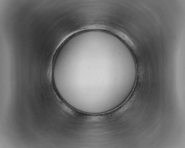 X0000111931228200908171230