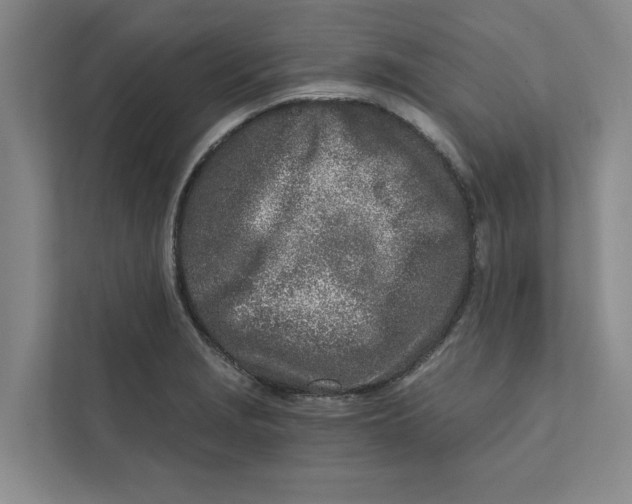 X0000111931229200908171230