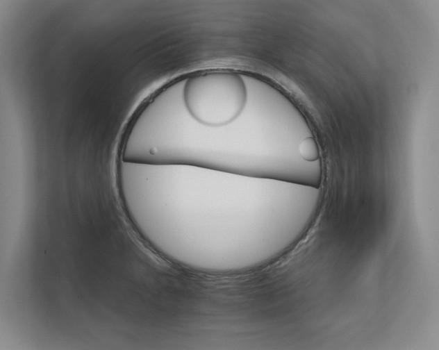 X0000111931230200908171230