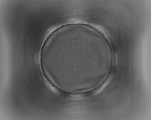 X0000111931231200908171230