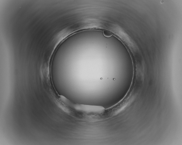 X0000111931234200908171230