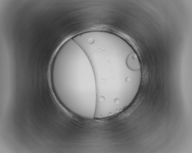 X0000111931235200908171230