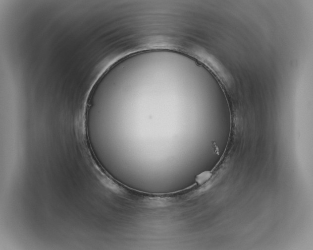 X0000111931236200908171230