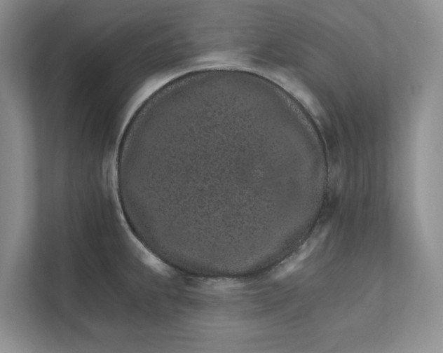 X0000111931239200908171230