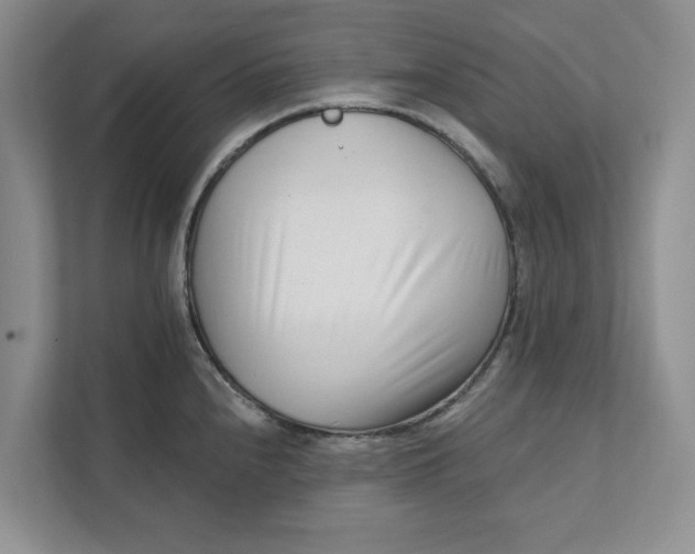 X0000111931240200908171230