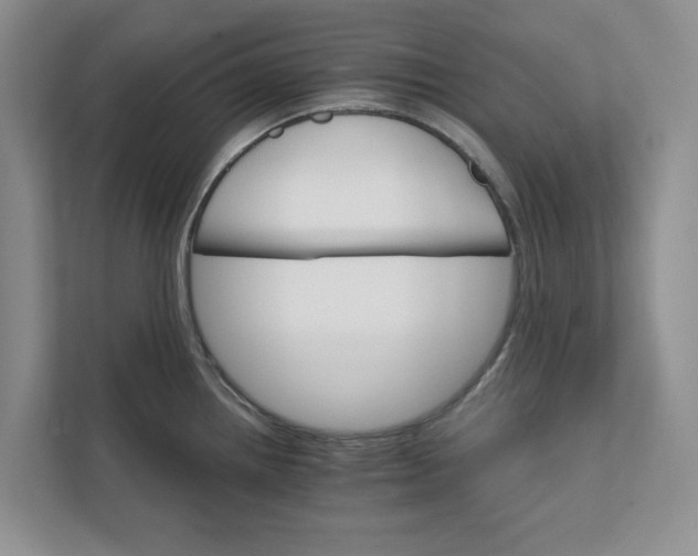 X0000111931242200908171230