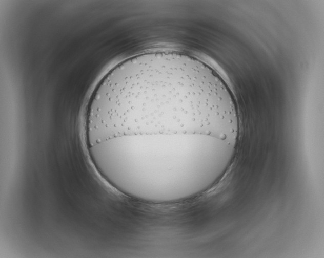 X0000111931243200908171230