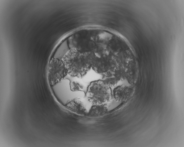 X0000111931245200908171230