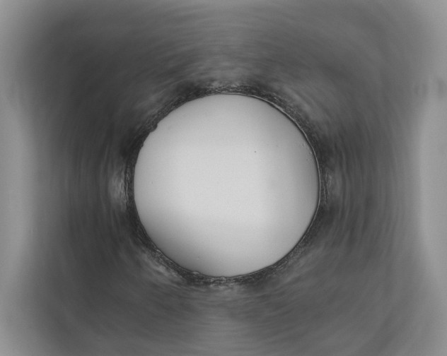 X0000111931250200908171229