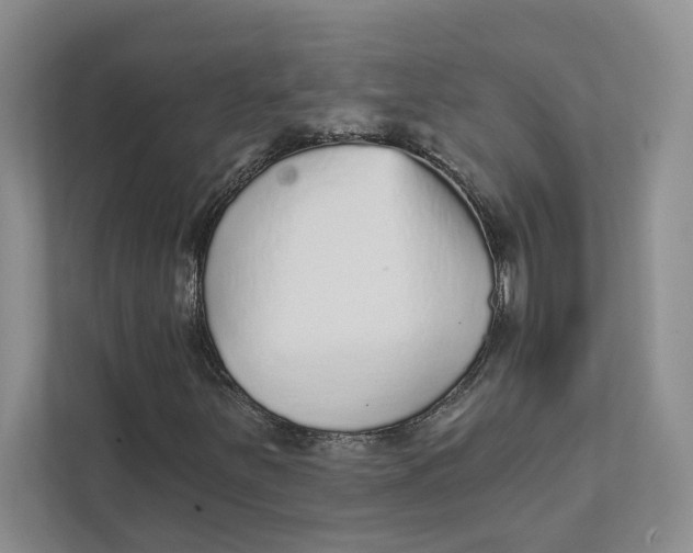 X0000111931251200908171229