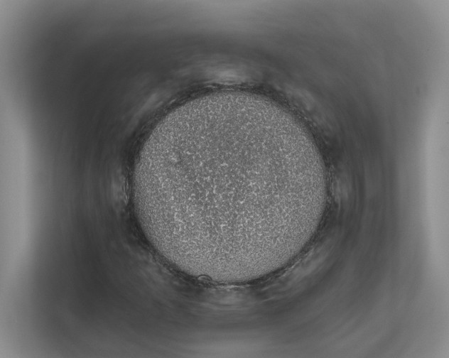 X0000111931253200908171229