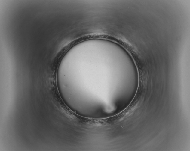 X0000111931255200908171229