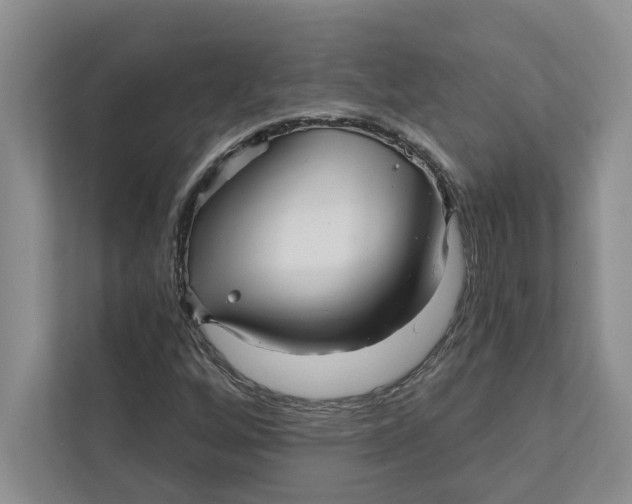 X0000111931256200908171229