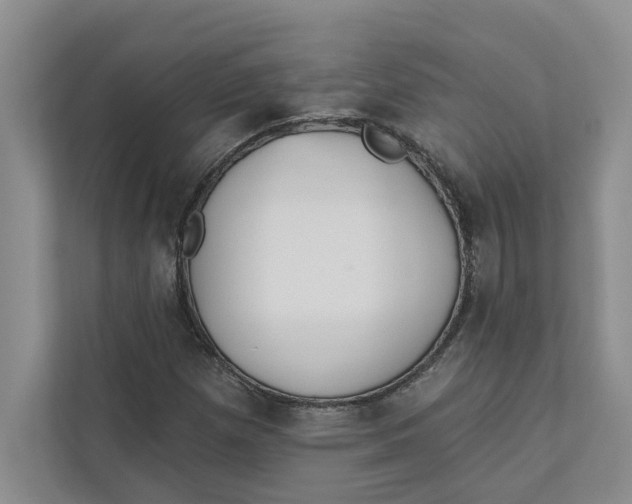 X0000111931257200908171229