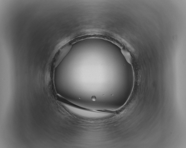 X0000111931261200908171229