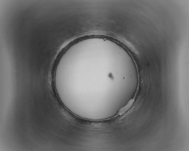 X0000111931264200908171229