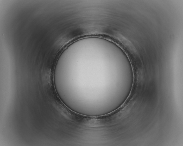 X0000111931265200908171229