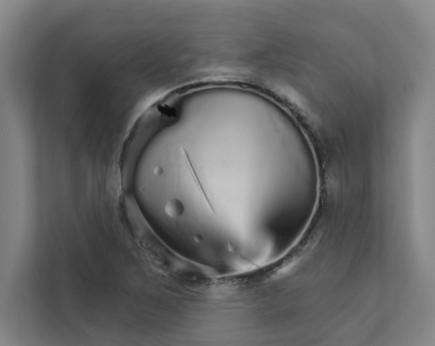 X0000111931267200908171229