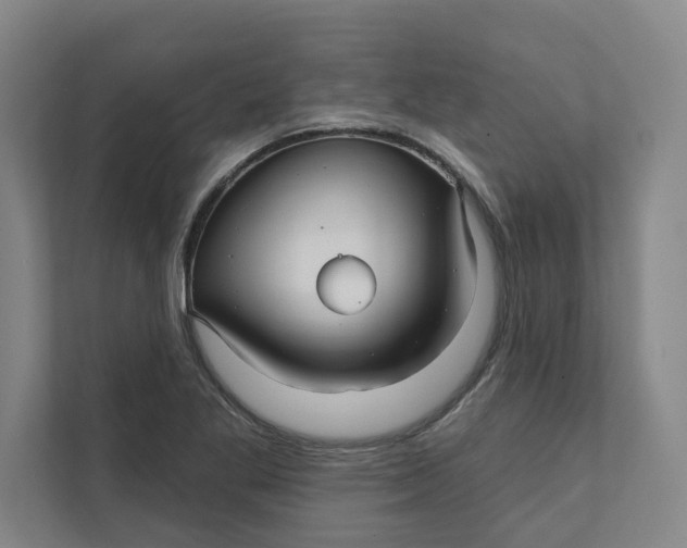 X0000111931269200908171229